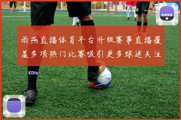 雨燕直播体育平台升级赛事直播覆盖多项热门比赛吸引更多球迷关注
