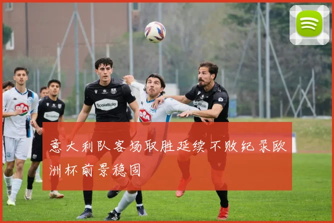 意大利队客场取胜延续不败纪录欧洲杯前景稳固