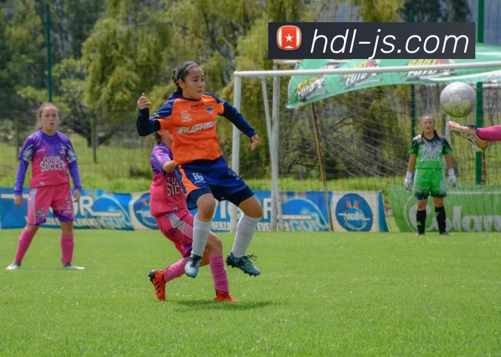 米兰官方网站入口服务体系